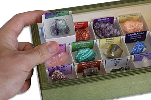 Colección de 15 Minerales del Mundo en Caja de Madera Natural - Minerales Reales educativos con Etiqueta informativa a Color. Kit de Ciencia de Geología para niños.