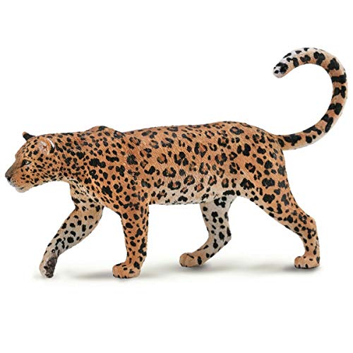 Collecta - Leopardo africano (88866)