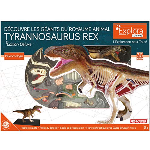 EXPLORA CIENCES- EXPLORA-Anatomía del Tirannosaure-Paleontología 546092, Modelo Realista de 36 Piezas -27 cm-T-Rex + Elementos Desmontables + Soporte Kit de Descubrimiento a Partir de 8 años, 546092