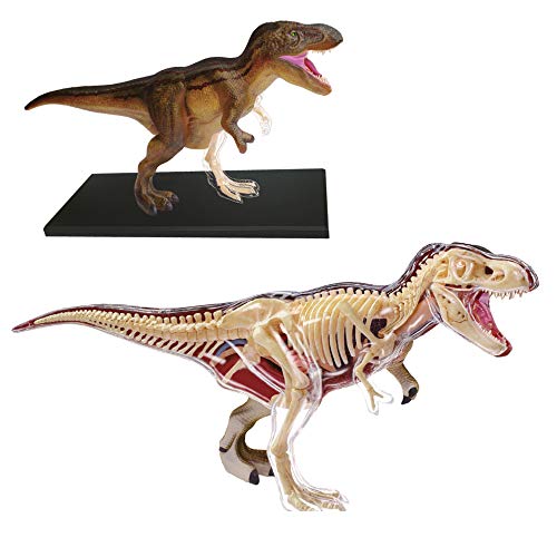 EXPLORA CIENCES- EXPLORA-Anatomía del Tirannosaure-Paleontología 546092, Modelo Realista de 36 Piezas -27 cm-T-Rex + Elementos Desmontables + Soporte Kit de Descubrimiento a Partir de 8 años, 546092