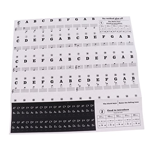 F Fityle para 49/54/61/88 Teclas de Teclado de Piano, Notas Musicales, Pegatinas Adhesivas, 24,5x14,3 Cm - Negro