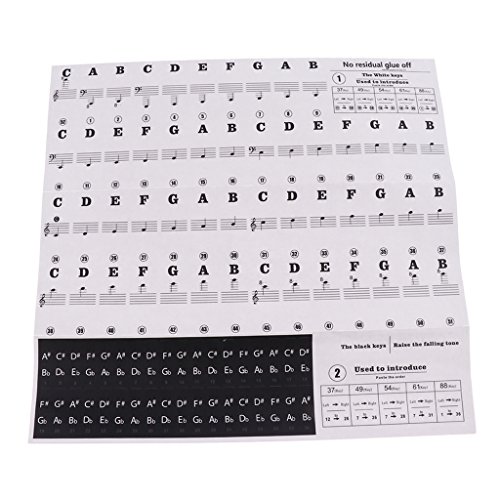 F Fityle para 49/54/61/88 Teclas de Teclado de Piano, Notas Musicales, Pegatinas Adhesivas, 24,5x14,3 Cm - Negro