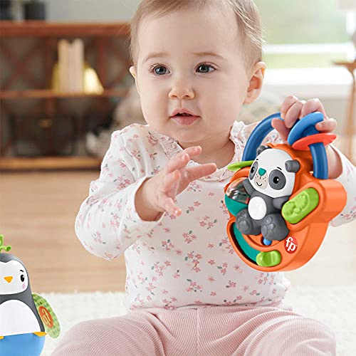 Fisher-Price Manos Kit de Juego con Panda Actividades, Multicolor (Mattel HFJ93)