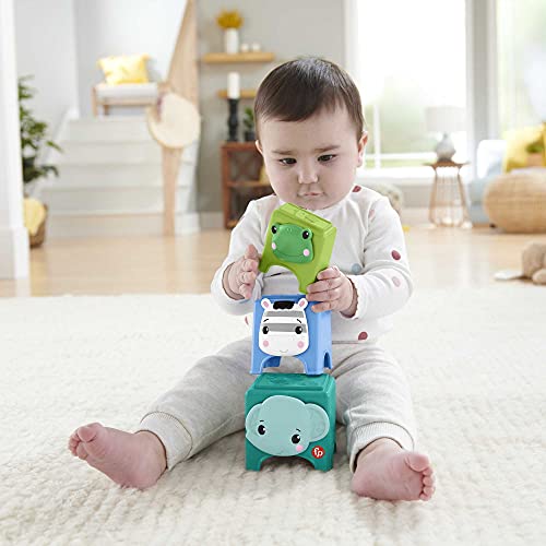 Fisher-Price Manos Kit de Juego con Panda Actividades, Multicolor (Mattel HFJ93)