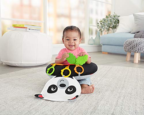 Fisher-Price Panda Cojín Activity, Juguete y Cojín de Actividades para Bebé Recién Nacido (Mattel FXB99)