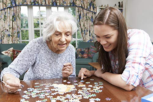 ICNBUYS Puzzle de Madera de 1000 Piezas para Adultos. Imagen de Rocas de río relajantes en un jardín Zen – Rompecabezas de Madera Real de 50 cm x 70 cm con 1000 Piezas para Adultos y familias