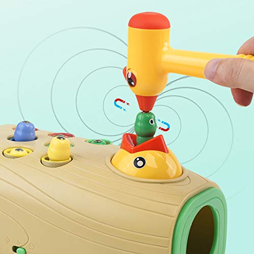 Juego de alimentación de pájaros tempranos, juego sensorial preescolar para motricidad fina, Early Education Woodpecker Feeding Game, Magnetic Toddler Toys, Fine Motor Skills Sensory Preschool Toy Set