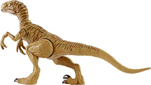 Jurassic World Dinosaurio Ataque Salvaje Velociraptor con garras, figura de juguete con movimientos para niños +4 años (Mattel HBX32)