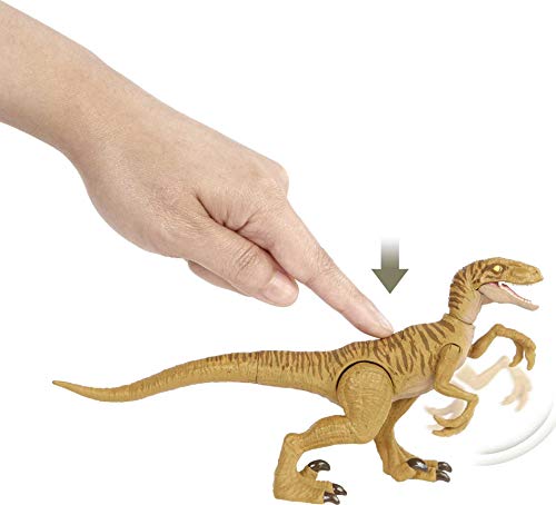 Jurassic World Dinosaurio Ataque Salvaje Velociraptor con garras, figura de juguete con movimientos para niños +4 años (Mattel HBX32)