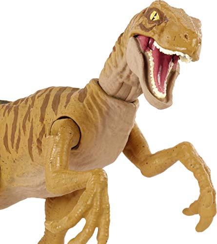 Jurassic World Dinosaurio Ataque Salvaje Velociraptor con garras, figura de juguete con movimientos para niños +4 años (Mattel HBX32)