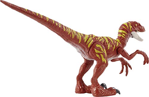 Jurassic World Dinosaurio Ataque Salvaje Velociraptor rayado, figura de juguete con movimientos para niños +4 años (Mattel HBX31)