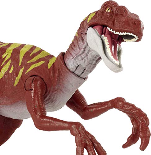 Jurassic World Dinosaurio Ataque Salvaje Velociraptor rayado, figura de juguete con movimientos para niños +4 años (Mattel HBX31)