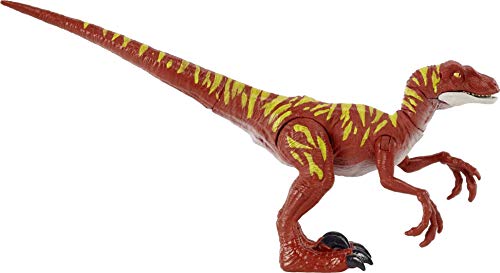 Jurassic World Dinosaurio Ataque Salvaje Velociraptor rayado, figura de juguete con movimientos para niños +4 años (Mattel HBX31)