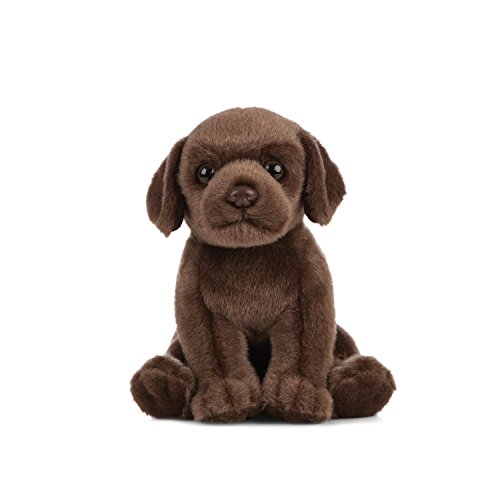 Living Nature AN432 - Peluche de Chocolate para Cachorros