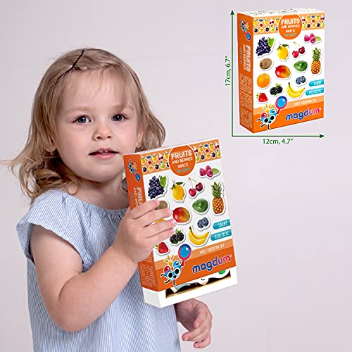 MAGDUM Imanes Nevera niños Frutas y Bayas - 25 Grandes imanes Bebes - Montessori Bebe - Juguetes Bebes - Juegos educativos niños - Nevera Juguete - Iman de Nevera - Cocina Juguete - Set cocinita