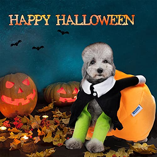 Nobleza - Disfraz de Calabaza y Payaso de Halloween para Perros, Disfraz Divertido De Gato, Disfraz de Cosplay Novedad Funny, Abrigo de Invierno cálido (S)