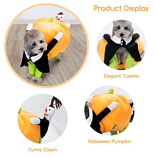 Nobleza - Disfraz de Calabaza y Payaso de Halloween para Perros, Disfraz Divertido De Gato, Disfraz de Cosplay Novedad Funny, Abrigo de Invierno cálido (S)