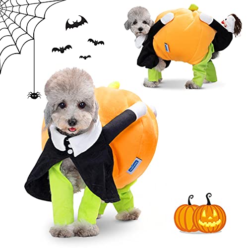 Nobleza - Disfraz de Calabaza y Payaso de Halloween para Perros, Disfraz Divertido De Gato, Disfraz de Cosplay Novedad Funny, Abrigo de Invierno cálido (S)