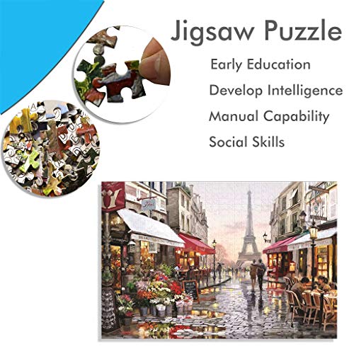 NOL Puzzle 3D 1000 Piece Wooden Jigsaw Puzzles Classic Rompecabezas de Juguete | Pintura al óleo de DIY Hecho a Mano(Paris Flower Street)