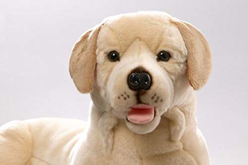 Peluche - Perro Labrador Retriever acostado (Felpa, 65cm) [Juguete] 2269