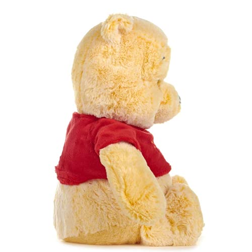 Peluche Winnie The Pooh, Eeyore, Tigger, WTP Snuggle Time, 30cm / 12inch (71121 WTP)