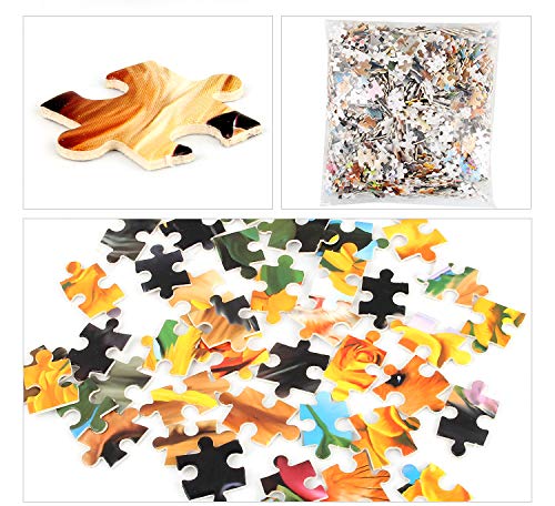 Puzzle de 1000 piezas, animales adorables, simples, niños y adultos, juegos de rompecabezas educativo, puzle clásico ideal para relajarse y ocio, Puzzle Lovely Pets (70 x 50 cm)