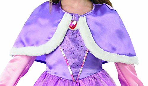 Rubies - Disfraz Rapunzel Winter Wonderland para niñas, talla S, 104 cm, edad 3-4 años (I-889546S)