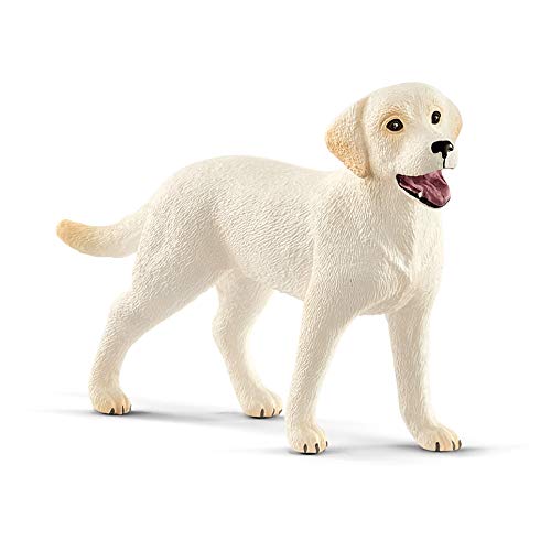 Schleich 42478 Farm World Play Set - Niño paseando a un perro Labrador Retriever, juguetes a partir de 3 años