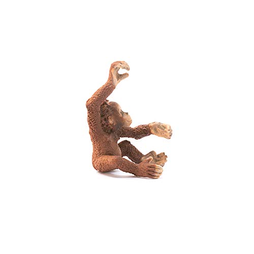 Schleich- Cría de Orangután Figura, Multicolor (14776)