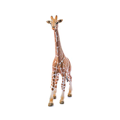 Schleich- Figura de Jirafa Macho, Color Marrón, 17cm