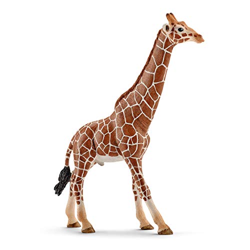 Schleich- Figura de Jirafa Macho, Color Marrón, 17cm