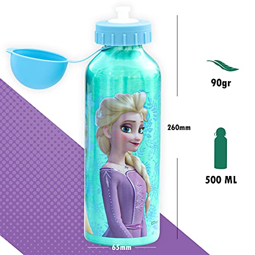 SKYLINE Cantimplora Infantil 500 ML, Frozen, Botella Aluminio para Niñas, Con Tapa Hermética, Sin BPA, Para Llevar a la Escuela, Parque, Deportes etc