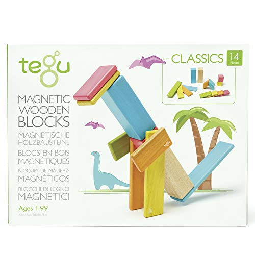 Tegu Juego de Bloques de Construcción de madera magnéticos de 14 piezas - Tintes , color/modelo surtido