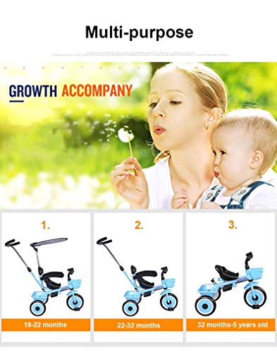 Triciclo 3 en 1 Triciclos para niños, Trible DE NIÑOS, BICICLEGA DE 3 Ruedas para NIÑOS, NIÑOS TRIKES para LOS TRICICLETOS DE NIÑOS BEBY Bike Bike TRINE ACTUALIZACIÓN, por 1-3 AÑOS, Azul