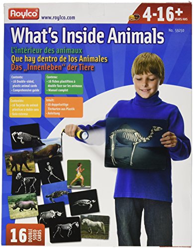 Whats Inside Animals Tarjetas Flash