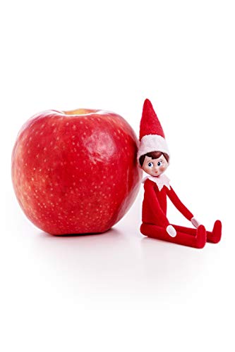 Worlds Smallest Elf on The Shelf