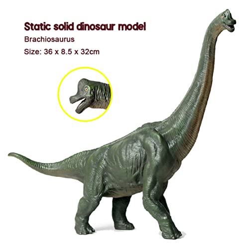 XWEM Esculturas De Dinosaurios Juguetes para Niños, Brachiosaurus Figuras Muñecas Coleccionables Modelo De Animales Modelo De Animales Dinosaurios Jurassic Parque Estatua De Dinosaurio