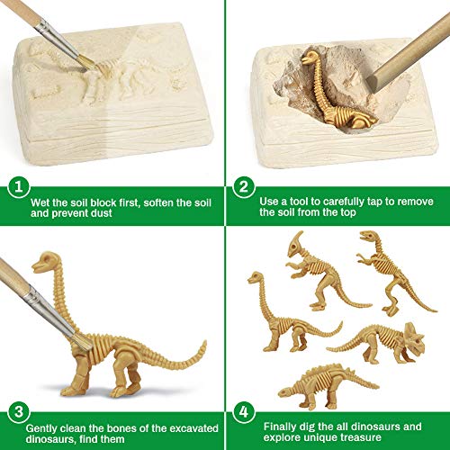 Zwini Dinosaurio Dig Kit 5 en 1 los fósiles de Dinosaurio perforación y educación de Juguetes educativos Ciencia excavación Kits de arqueología biología