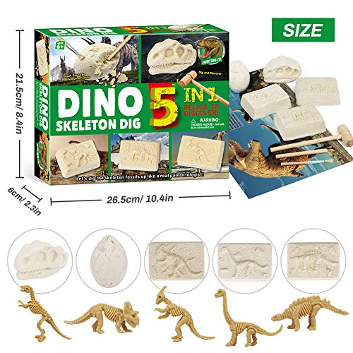 Zwini Dinosaurio Dig Kit 5 en 1 los fósiles de Dinosaurio perforación y educación de Juguetes educativos Ciencia excavación Kits de arqueología biología