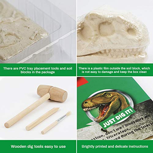 Zwini Dinosaurio Dig Kit 5 en 1 los fósiles de Dinosaurio perforación y educación de Juguetes educativos Ciencia excavación Kits de arqueología biología