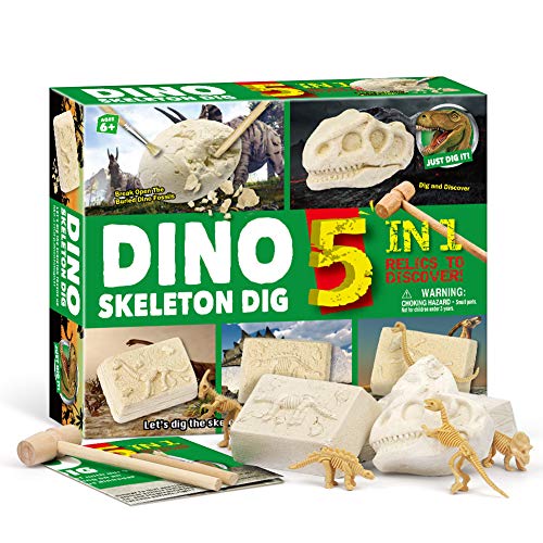 Zwini Dinosaurio Dig Kit 5 en 1 los fósiles de Dinosaurio perforación y educación de Juguetes educativos Ciencia excavación Kits de arqueología biología