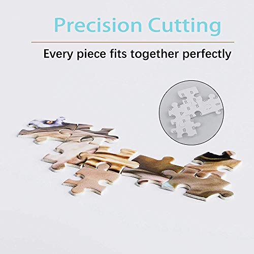 ZXSDFV Puzzle 1000 Piezas para Adultos Valladolid, España DIY Grande Wooden Jigsaw Puzzles Puzzle Adultos 1000 Piezas Rompecabezas De Juguete