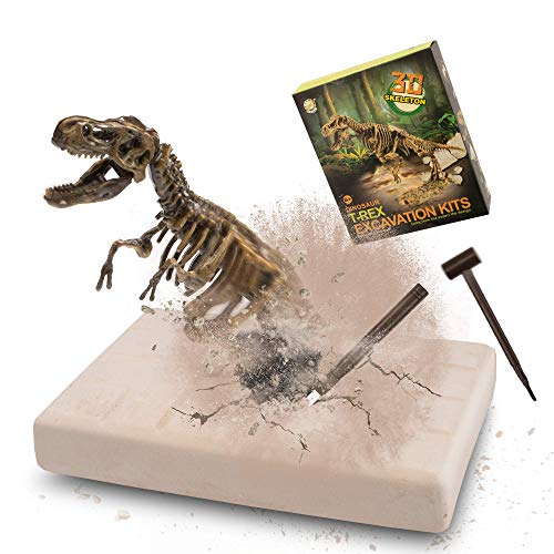 MUSCCCM Dinosaur Dig Kit Tiranosaurio, Dino Skeleton Fossil Excavation Kit Realistic Dinosaur Model Juguetes educativos Regalo para Niños Niñas