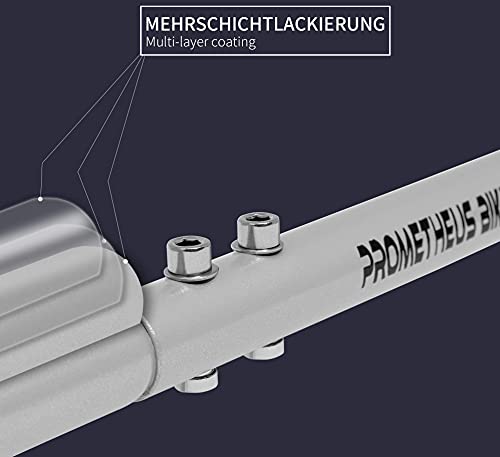 Prometheus - Barra de empuje para bicicleta infantil, divisible, 3 piezas, barra de sujeción estable y antideslizante en color gris, ayuda para el aprendizaje al montar en bicicleta | Edición 2021