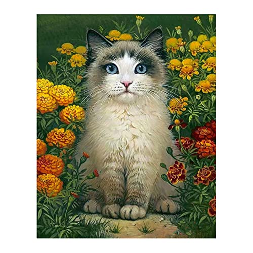 Rompecabezas - Color de Foca Gato Ragdoll(1000 Piezas 75,5 x 50,5cm Juego de Rompecabezas de Entretenimiento de Madera desafío de Inteligencia decoración del hogar