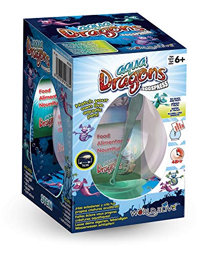 Aqua Dragons Eggspress Criaturas acuáticas vivas