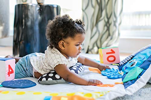 Baby Einstein, Gimnasio de Actividades Espacio de juego sensorial Sensory Play Space