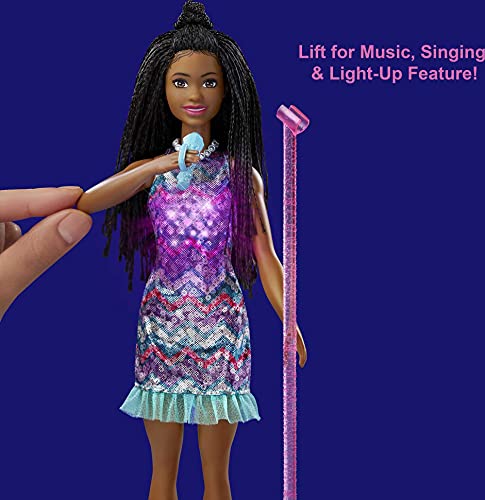 Barbie Grandes sueños en la gran ciudad Muñeca Brooklyn afroamericana cantante con guitarra y accesorios de juguete (Mattel GYJ22)