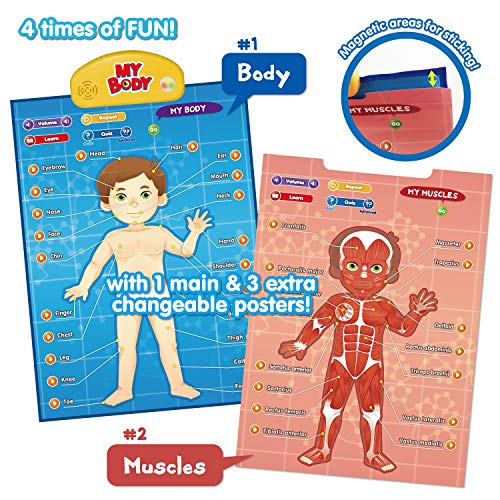 BEST LEARNING i-Poster mi Cuerpo - Juego Educativo Interactivo de anatomía Humana para Aprender Partes del Cuerpo, órganos, músculos y Huesos para niños de 5 a 12 años (Versión en inglés)