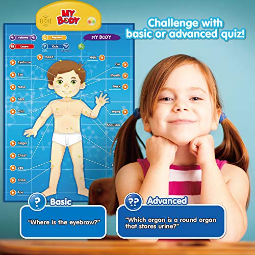 BEST LEARNING i-Poster mi Cuerpo - Juego Educativo Interactivo de anatomía Humana para Aprender Partes del Cuerpo, órganos, músculos y Huesos para niños de 5 a 12 años (Versión en inglés)